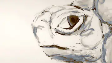 Задник до фильму"Tortoise" #1186908