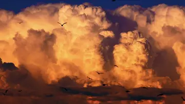 Задник до фильму"Un Dernier Jour (ou Les Quatre Saisons)" #929735
