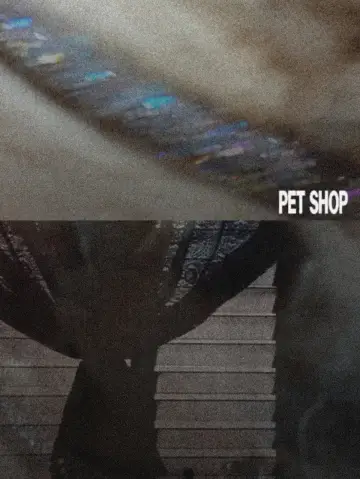 Постер до фильму"Tienda de perros" #914397