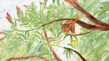 Задник до фільму "Patouille et Momo, les contes de la forêts" #979197