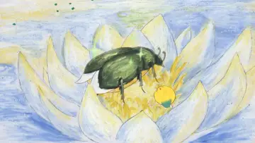 Задник до фільму "Patouille et Momo, les contes de la forêts" #979199