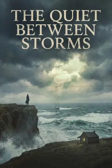The Quiet Between Storms постер