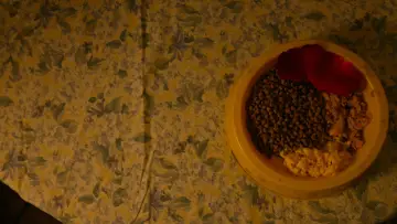 Задник до фильму"La Perte" #931827