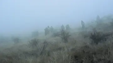 Задник до фільму "Cercul" #955664