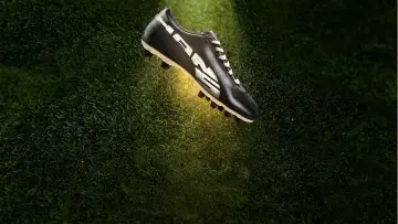 El rey Puma постер