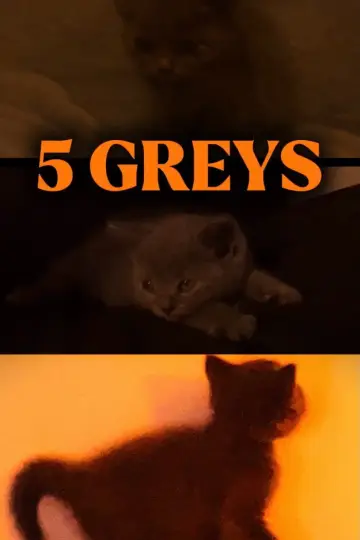 Постер до фильму"5 Greys" #957252