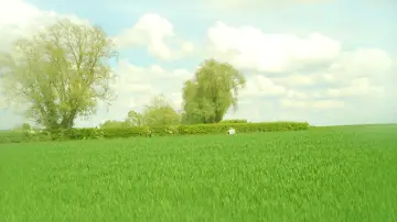 Задник до фильму"Hémisphère" #955556
