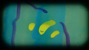 Задник до фільму "Western Blot!" #1575177