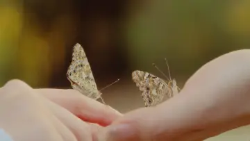 Задник до фильму"All of Us Girls" #957161