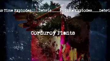 Задник до фильму"Corduroy Plants" #955619