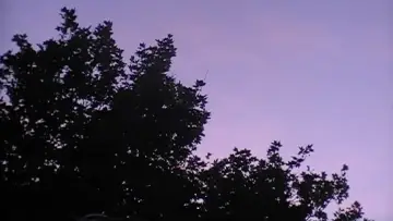 Задник до фильму"Towards The Night" #957525