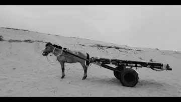 Задник до фильму"The Nomad