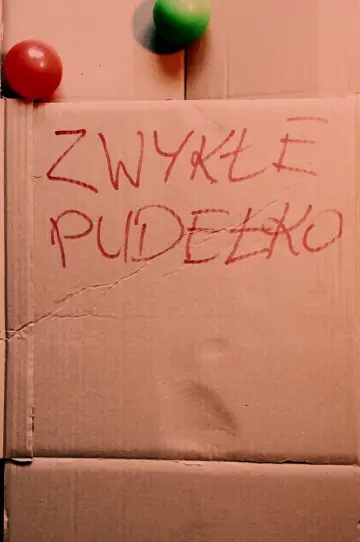 Постер до фильму"ZWYKŁE PUDEŁKO" #957722