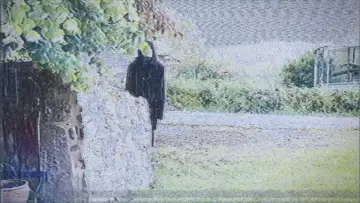 Задник до фильму"L