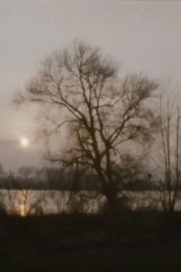 Постер до фильму"Landscape as Landscape - 27" #958340