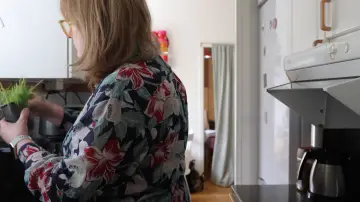 Задник до фильму""Dammpartiklar som dansar i solstrålarna"" #963429