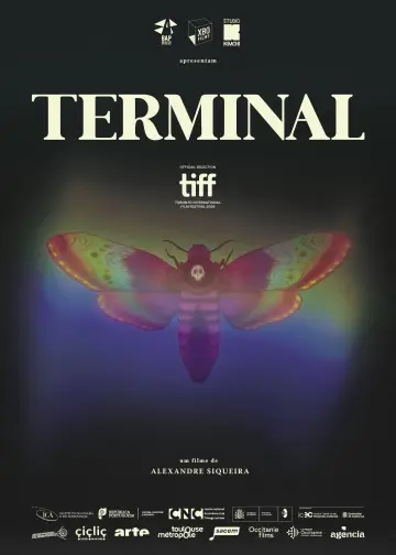 Terminal