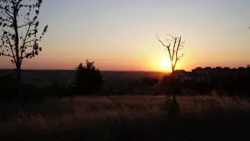 Задник до фильму"COULDN