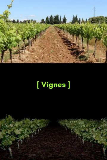 Постер до фильму"[ Vignes ]" #1144628