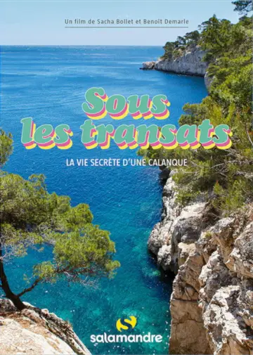 Beneath the Beach Chairs - The Secret Life of a Calanque