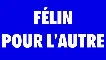 Задник до фильму"FÉLIN POUR L