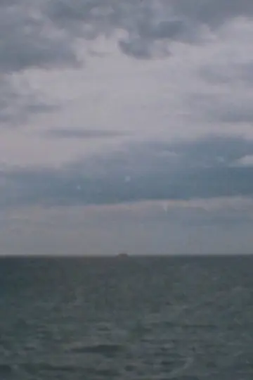 Постер до фильму"Landscape as Landscape - 30" #1155094