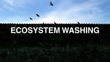 Задник до фильму"Ecosystem washing" #1177390