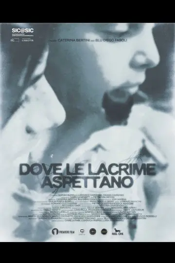 Dove le lacrime aspettano постер