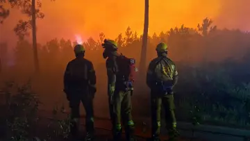 Задник до фільму "Incendies, innover pour mieux lutter" #1228298