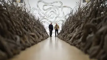 Задник до фільму "Andy Goldsworthy in Conversation with Andrew Graham-Dixon" #1349672