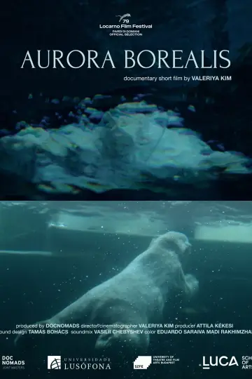 Постер до фильму"Aurora Borealis" #1169276