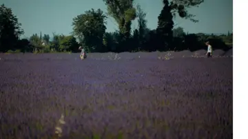 Задник до фильму"Le Poulet des Larcher" #1169506