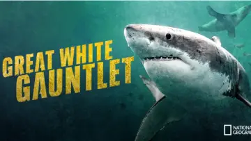 Задник до фильму"Great White Gauntlet" #1177455