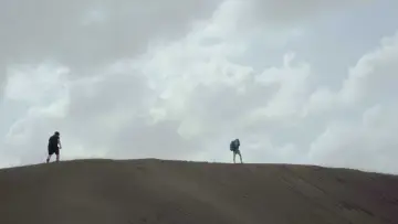Задник до фильму"In Search of My Moehau" #1177152
