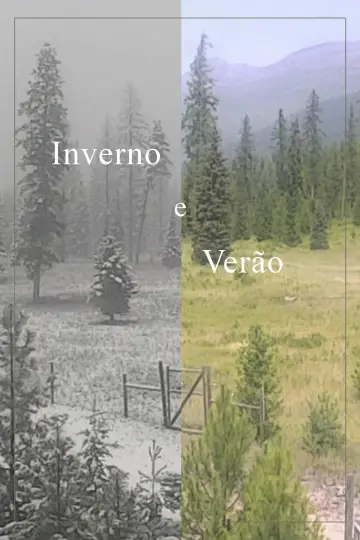 Постер до фильму"Inverno e Verão" #1177503