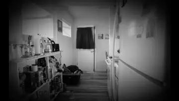 Задник до фильму"The Landlord" #1187480