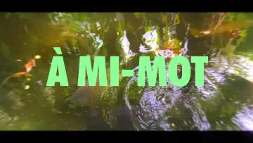 Задник до фильму"À MI-MOT" #1187445