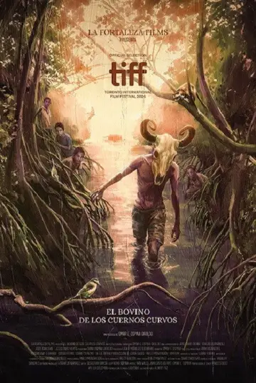 El bovino de los cuernos curvos