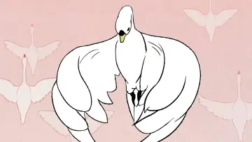 Задник до фільму "Le Cygne et l