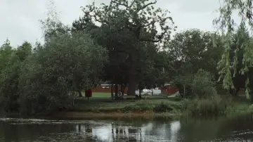 Задник до фільму "Fool