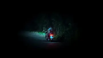 Задник до фільму "The Cat Is A Wide-Eyed Night" #1638880