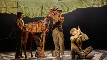Задник до фільму "National Theatre at Home: War Horse" #1899618