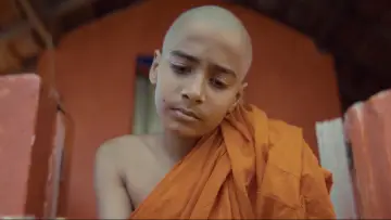 Задник до фільму "Cricket සාදු" #1572533