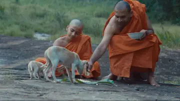 Задник до фільму "Cricket සාදු" #1572536