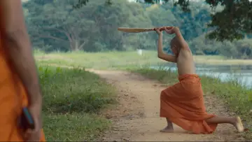 Задник до фільму "Cricket සාදු" #1572537