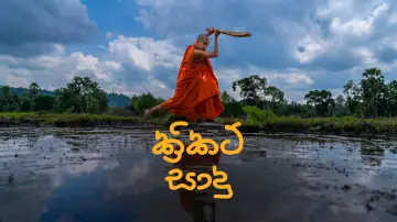 Задник до фільму "ක්‍රිකට් සාදු" #1624060