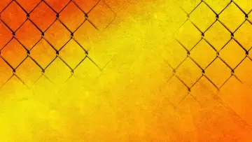 Задник до фільму "PFL Tampa: Cyborg vs. Vieira" #1572463