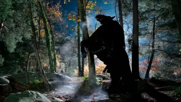 Задник до фільму "Meurtres à Fontainebleau" #1573928
