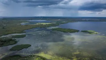 Задник до фільму "Delta Sălbatică" #1746821
