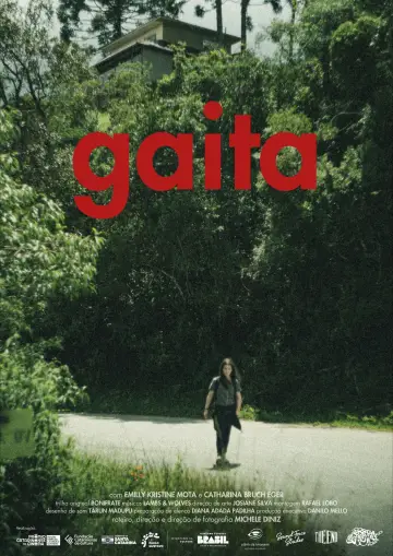 Gaita постер